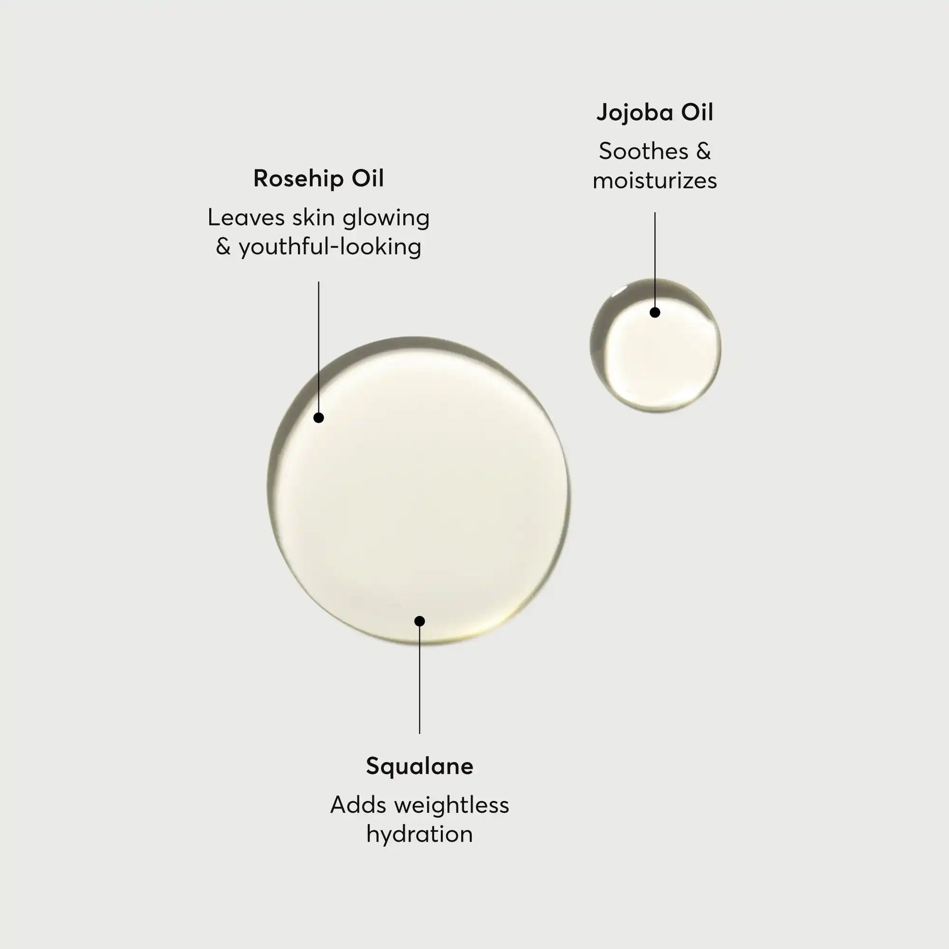 the-glow-getter-body-oil-e7 NATR-10115-Alt-Images-The-Glow-Getter-Body-Oil-01.webp