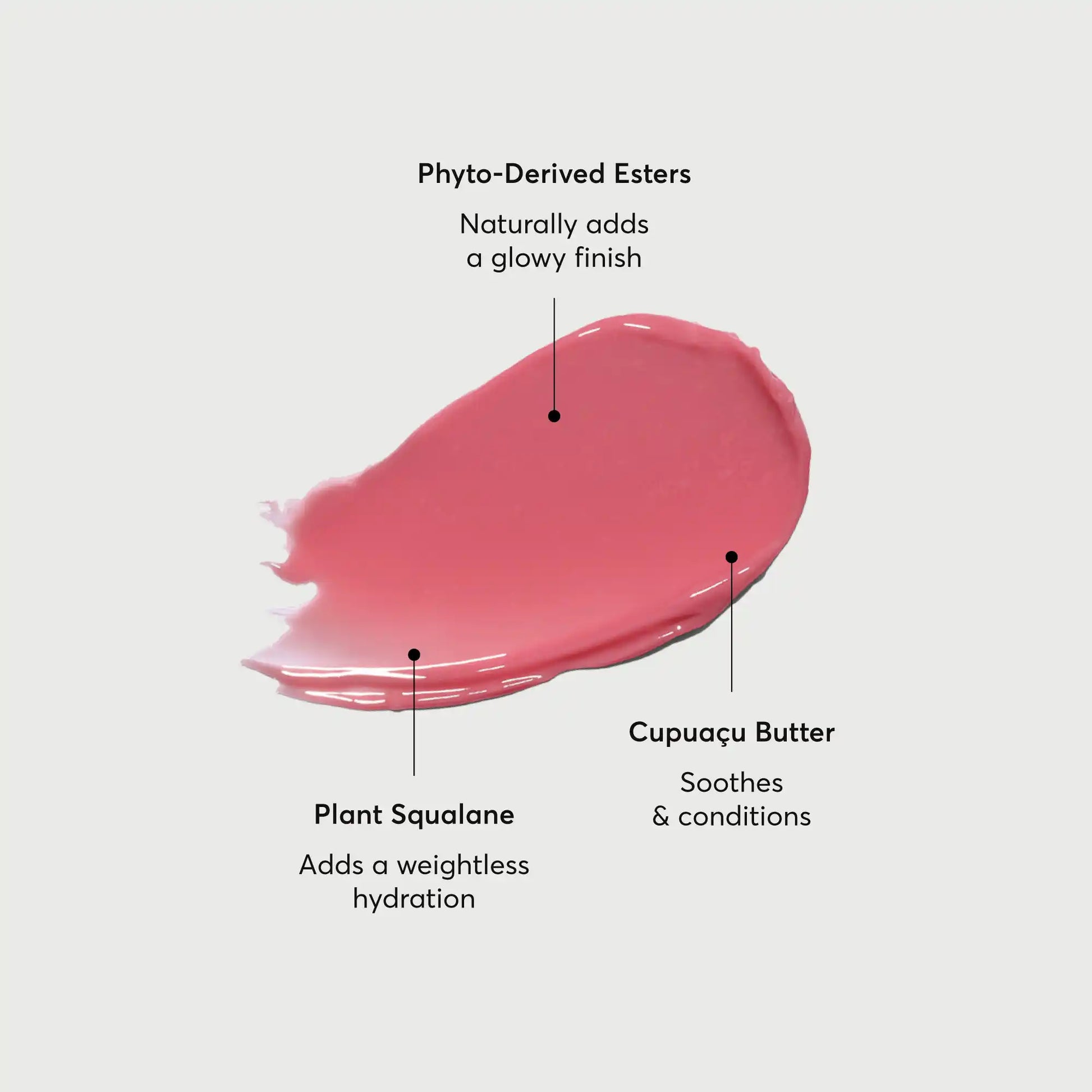 phyto-glow-lip-balm-petal-d6 NATR-60067-Alt-Images-Phyto-Glow-Lip-Balm-Petal-01.webp